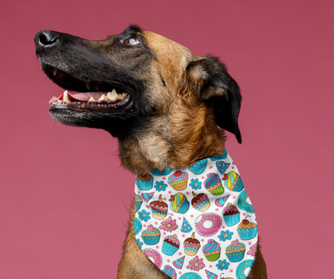 dog wearing a birthday dog bandana