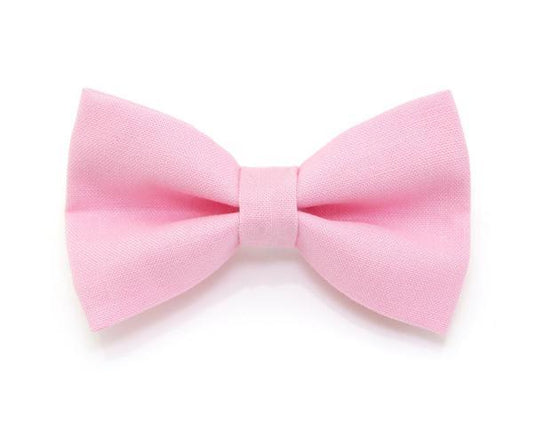 Pet Collar - Pink Cat Collars 