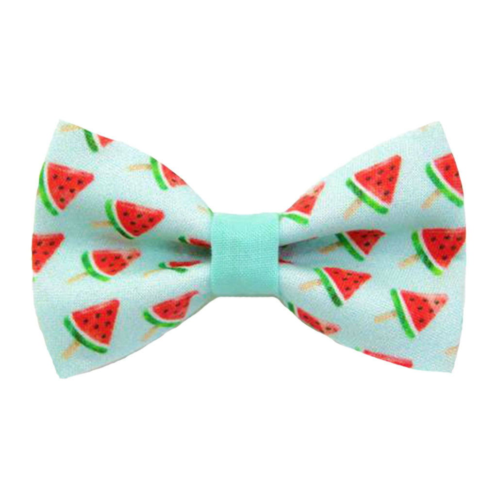 Cat Collar & Cat Bow Tie Set | Watermelon Pops Pet Collar | Pawsitive Vibes