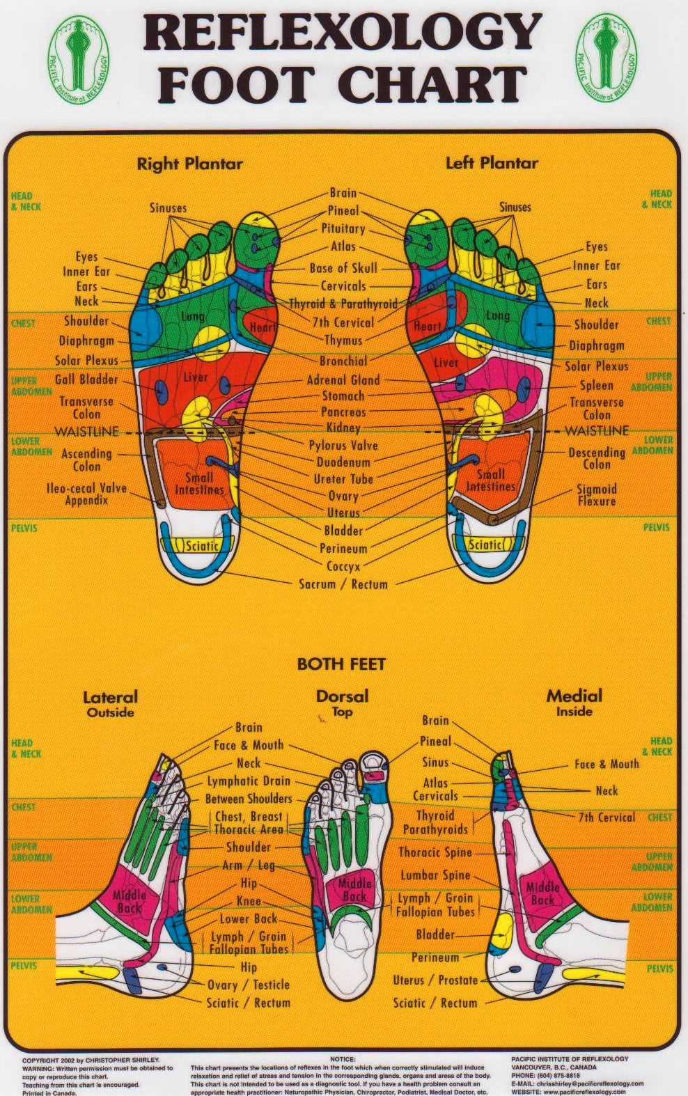 Foot Reflexology Chart Pacific Institute — Massage Therapy Supply 7877