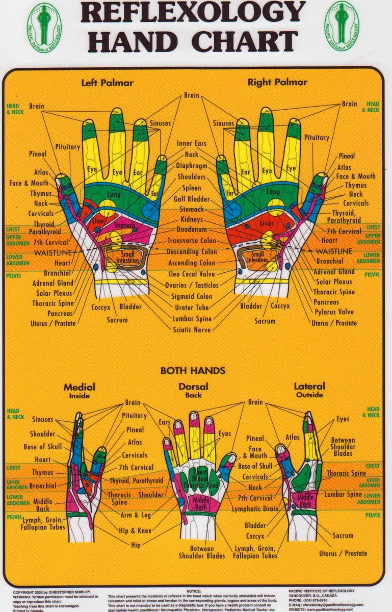 Hand Reflexology Chart ( Pacific Institute) — Massage Therapy Supply