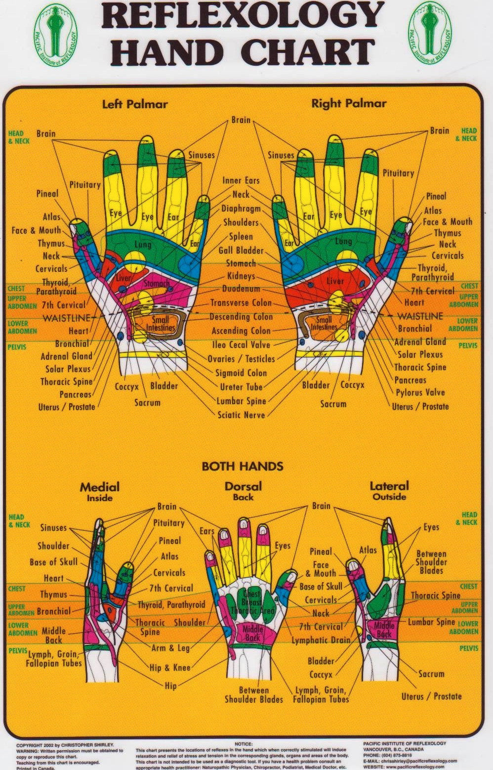 Hand Reflexology Chart Pacific Institute — Massage Therapy Supply