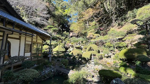 大楽寺：西日本豪雨にて被災後、関係者によって取り戻した日本庭園。縁側に座りながらこの庭を観賞しながらいただく日本茶のおいしいこと。