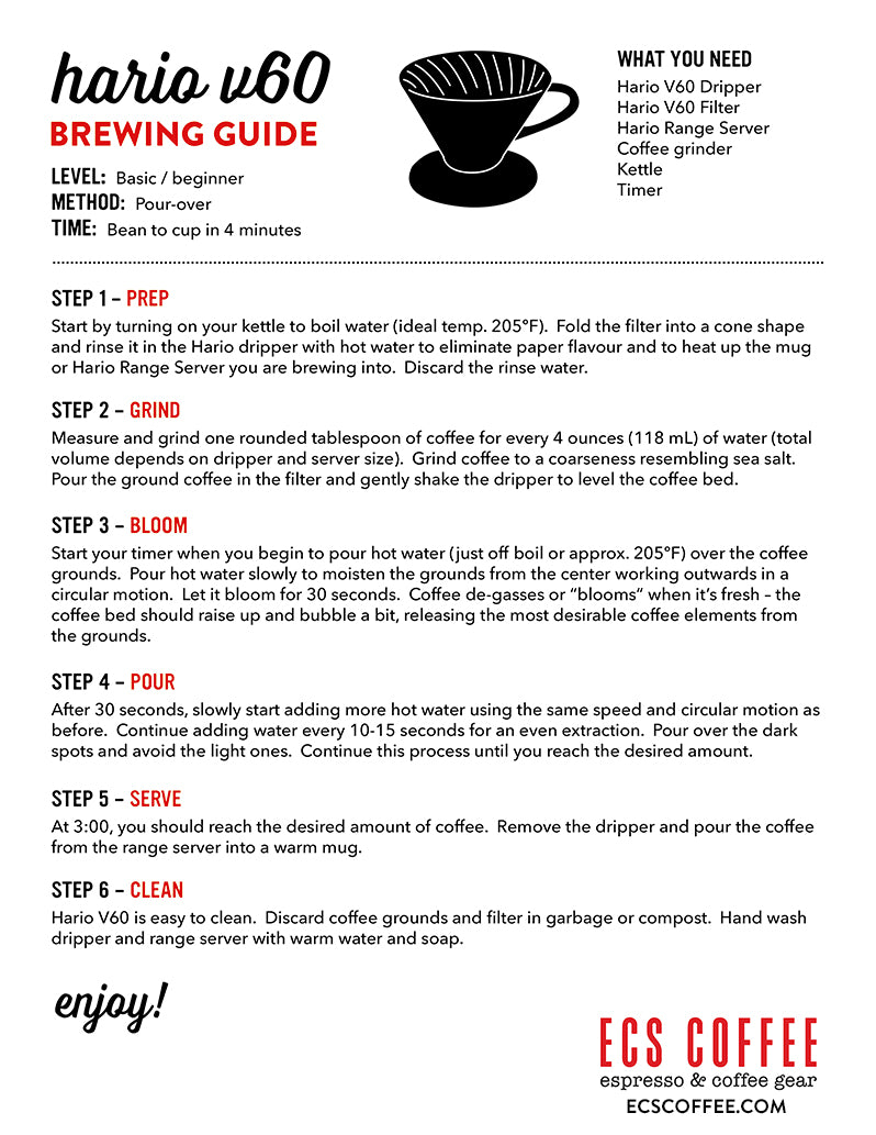 Hario V60 Drip Coffee Brewing Guide For Beginners