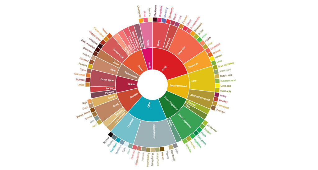 How To Pick The Right Bean Coffee Flavour Wheel 