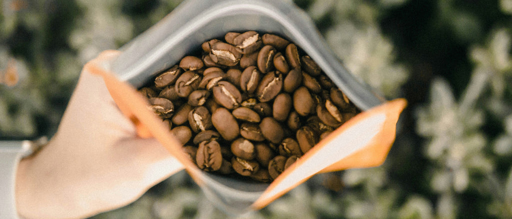 Demystifying Tasting Notes: How to Decode Coffee Flavour Descriptions