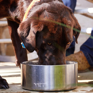 Yeti Boomer 8 Dog Bowl - Kinsey's Outdoors