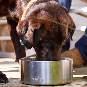 YETI Boomer Stainless Steel 8 cups Pet Bowl For Dogs - Ace Hardware