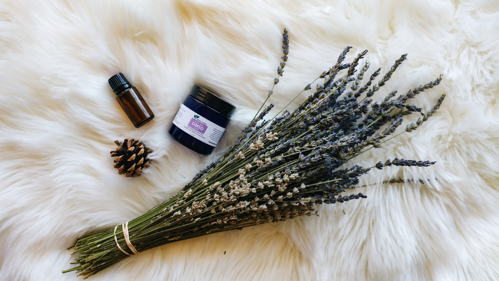 Lavender Essential Oil Dmso Uses And Benefits