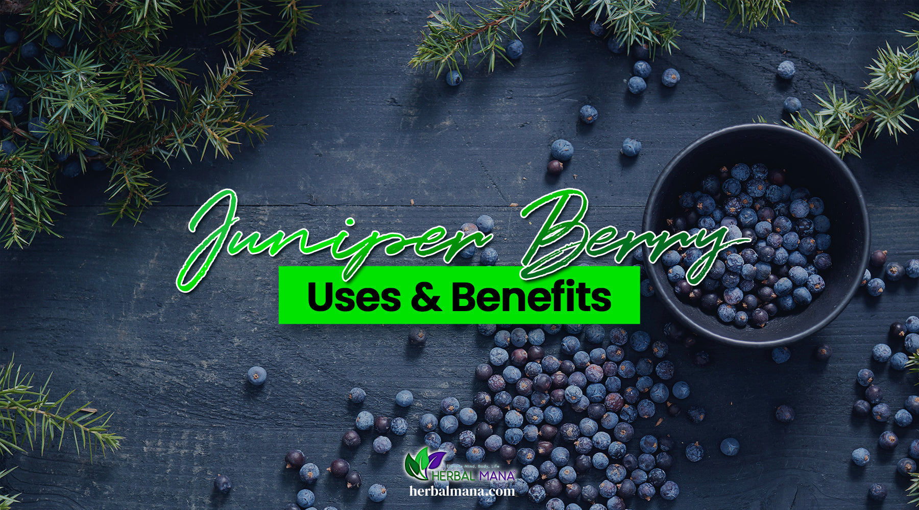 Juniper Berries Benefits For Blood Sugar and More