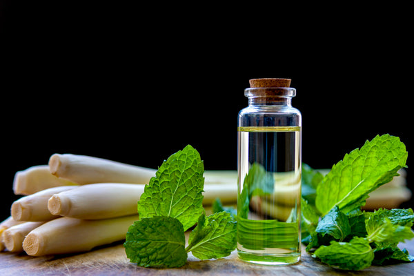 small vial of peppermint essential oil surrounded by peppermint sprigs