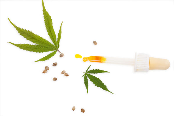 marijuana plant with vial of CBD oil