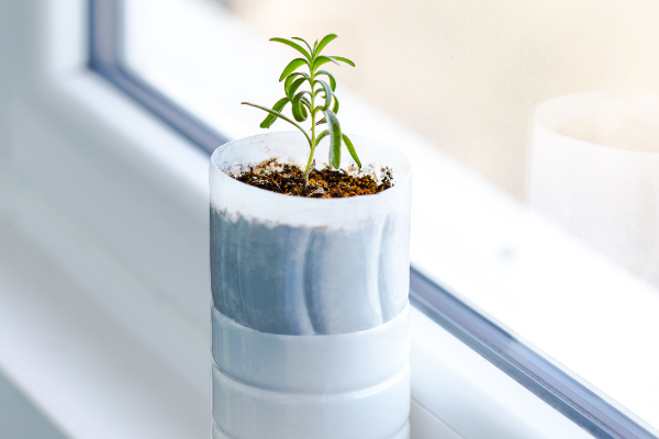 earth day reusing plastic bottles diy crafts with a plastic bottle upcycle it plastic bottle self watering planter sitting next to a window with plant starting to grow