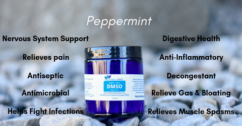 All About Peppermint Essential Oil Dmso Herbal Mana