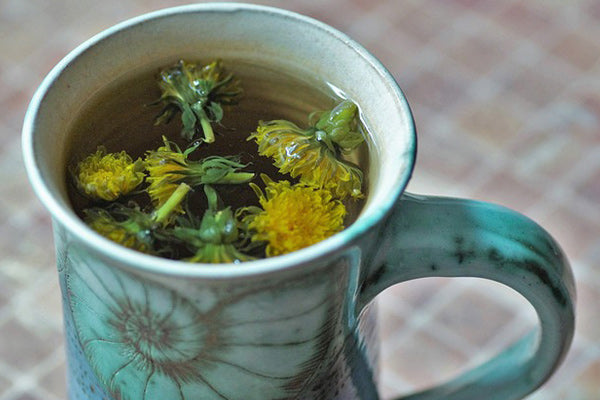 the benefits of dandelion uses for dandelion dandelion tea benefits dandelion flowers made into a tea in a fossil mug sitting on a table with plaid tablecloth