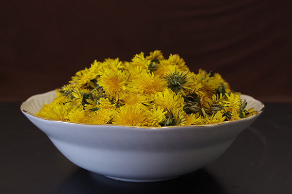 the benefits of dandelion uses for dandelion dandelion tea benefits yellow full bloom dandelion flowers in a white decorative bowl with dark brown background