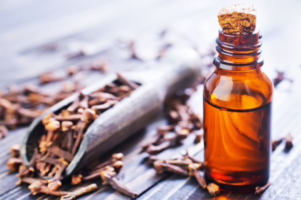 clove essential oil benefits and uses of clove oil clove essential oil in amber glass bottle with clove in a wooden scoop on wood table