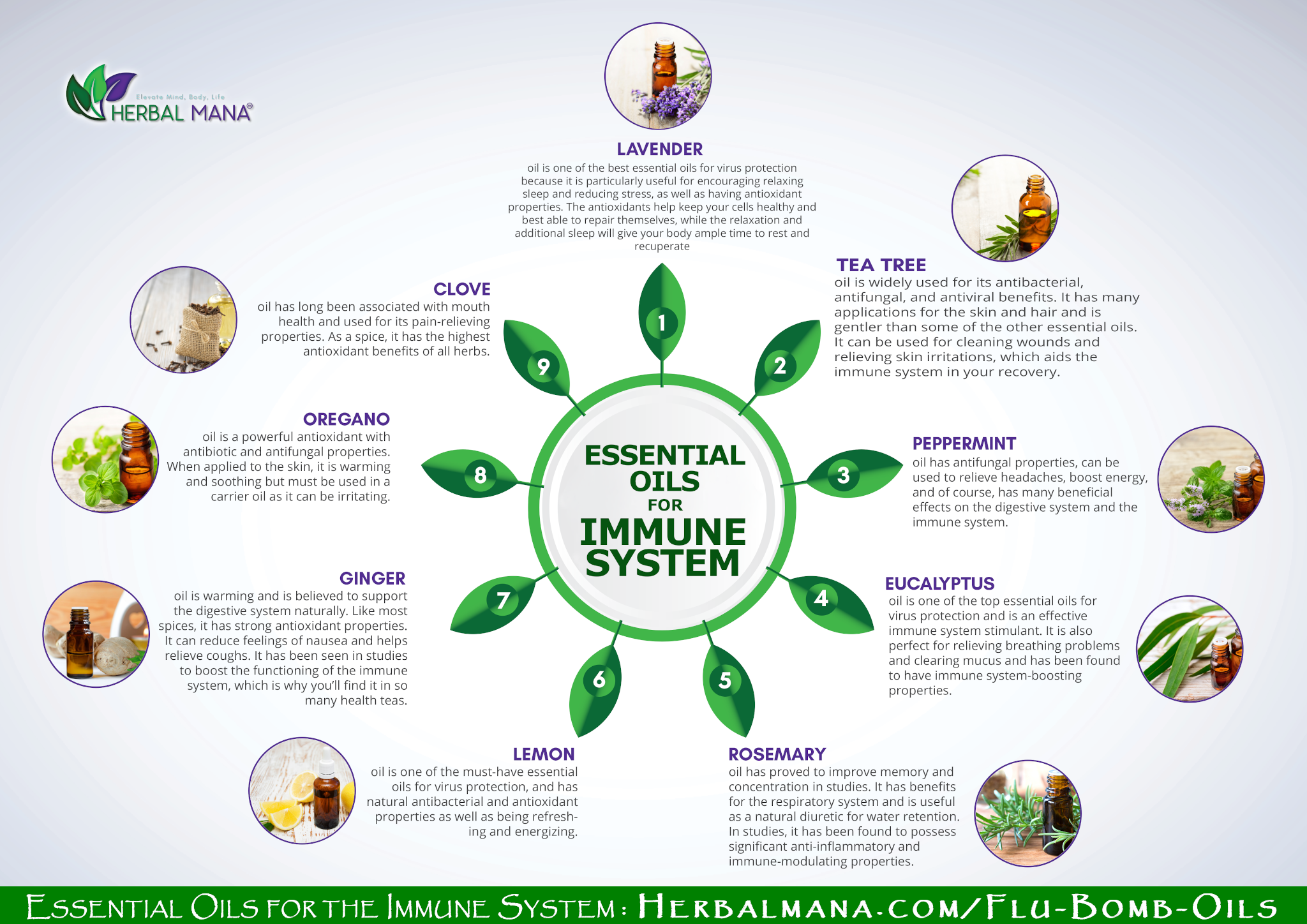 9 Essential Oils for Immune System Infographic