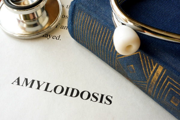 what is amyloidosis causes symptoms natural remedies close up of written amyloidosis with blue book and stethoscope