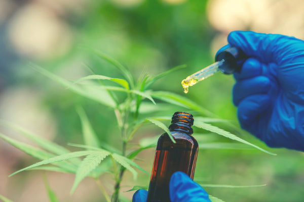 what is iliopsoas tendonitis iliopsoas tendonitis symptoms causes natural treatment for iliopsoas tendonitis man wearing blue gloves holding dropper of cbd oil in amber glass marijuana plant