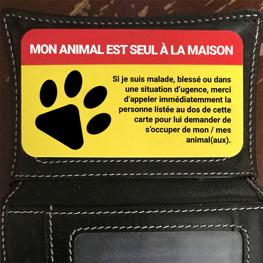 petsfe Porte Cle Urgence pour Animal de Compagnie