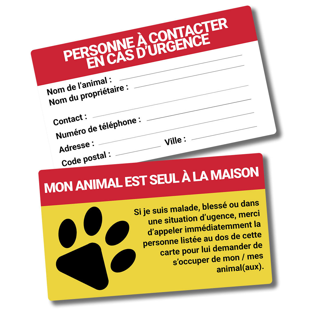 petsfe Porte Cle Urgence pour Animal de Compagnie