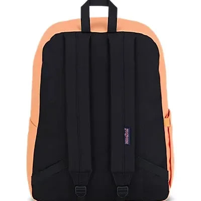 JS0A4QUT GM5 back