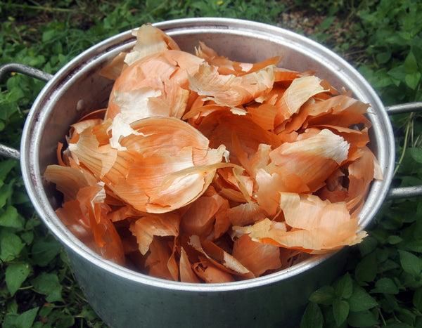 Natural Dyes - Yellow Onion Skins â€“ Folk Fibers