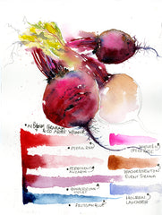 How to paint a Beetroot
