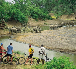 Cycling Tours