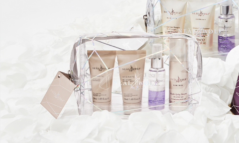 Hydrate Mini Essentials Kit