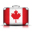 canadaluggagedepot.ca-logo