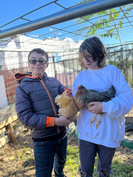 Children holding chickens