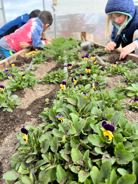 Børn laver havearbejde i et blomsterbed 