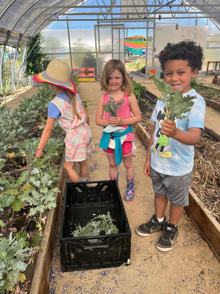 Children harvesting