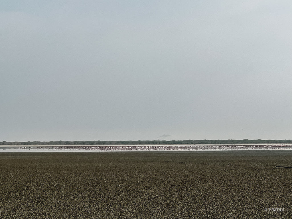 Sambhar Salt Lake, Rajasthan