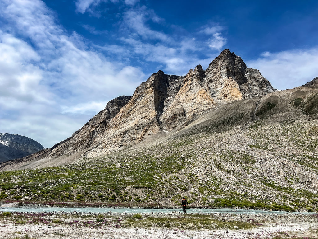 mountainside