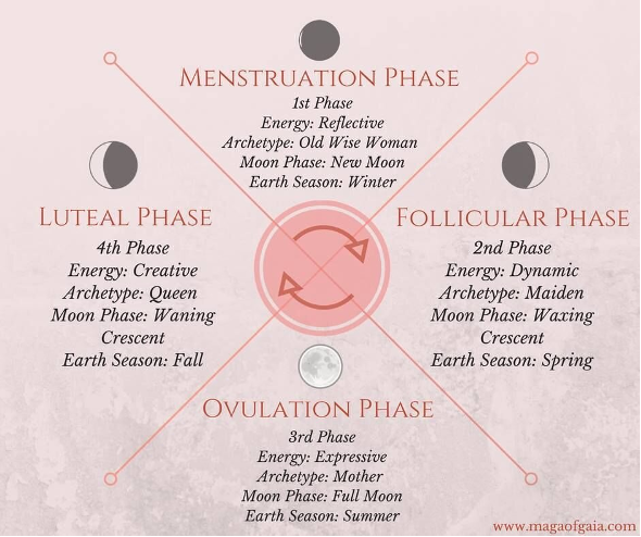 Moontime Magic: Holistic Menstrual Wisdom for the Modern Feminine –  Botanical Trader