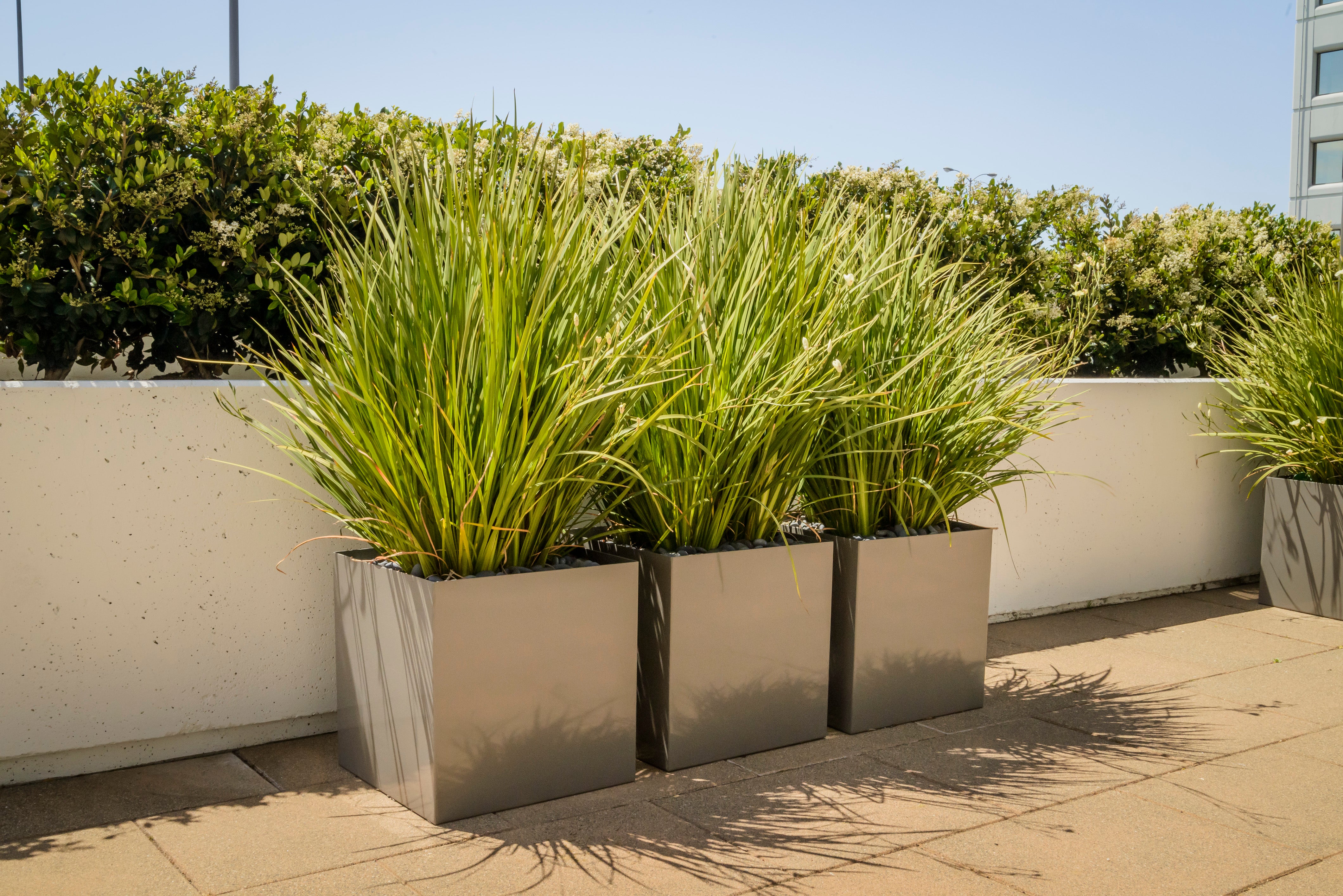 PureModern Metal Planters at The Towers at Emeryville CA