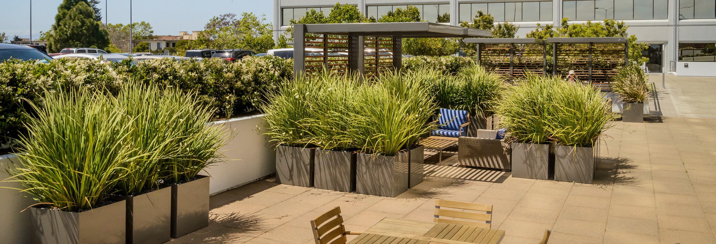 PureModern Large Custom Planters at The Towers in Emeryville CA