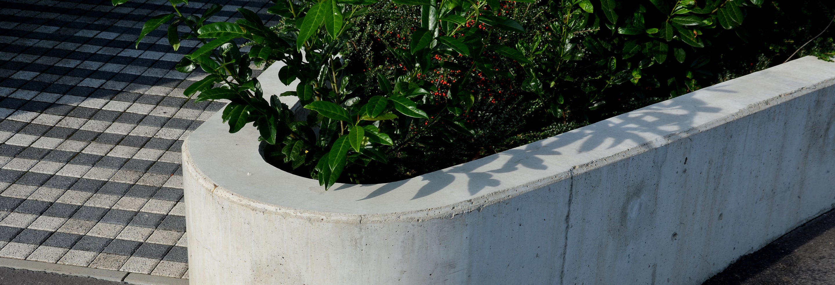 Round Concrete Planter