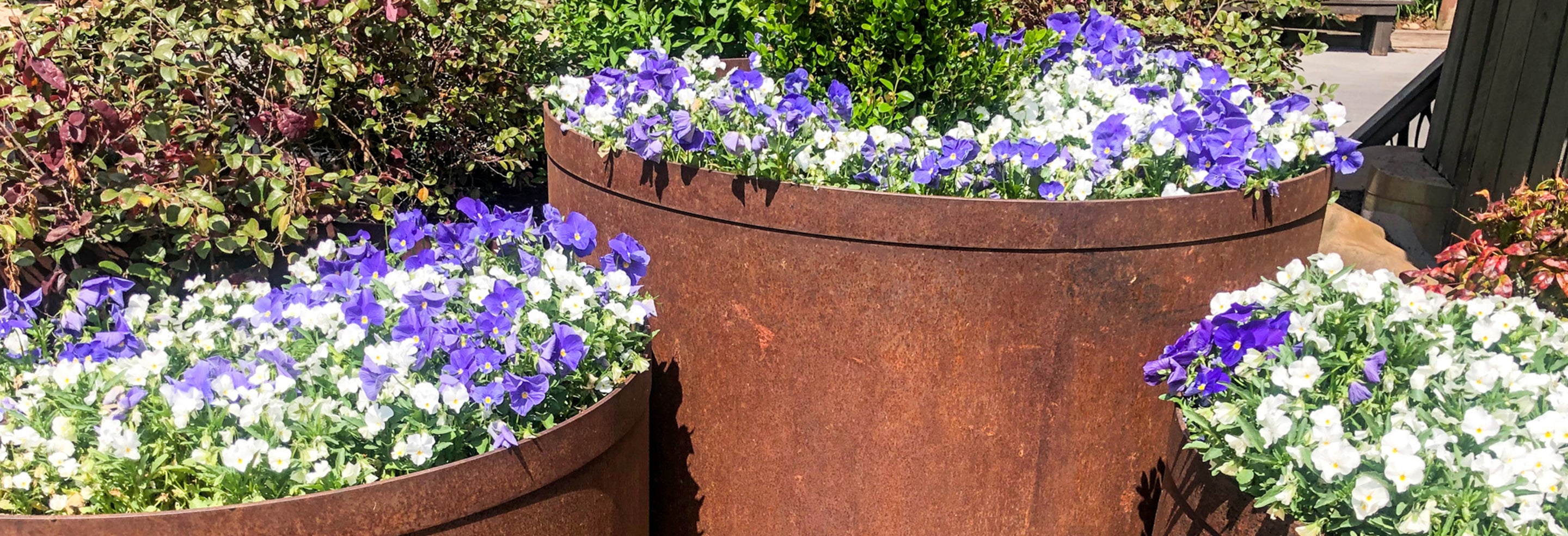 Round Weathering Steel Planter with Plants