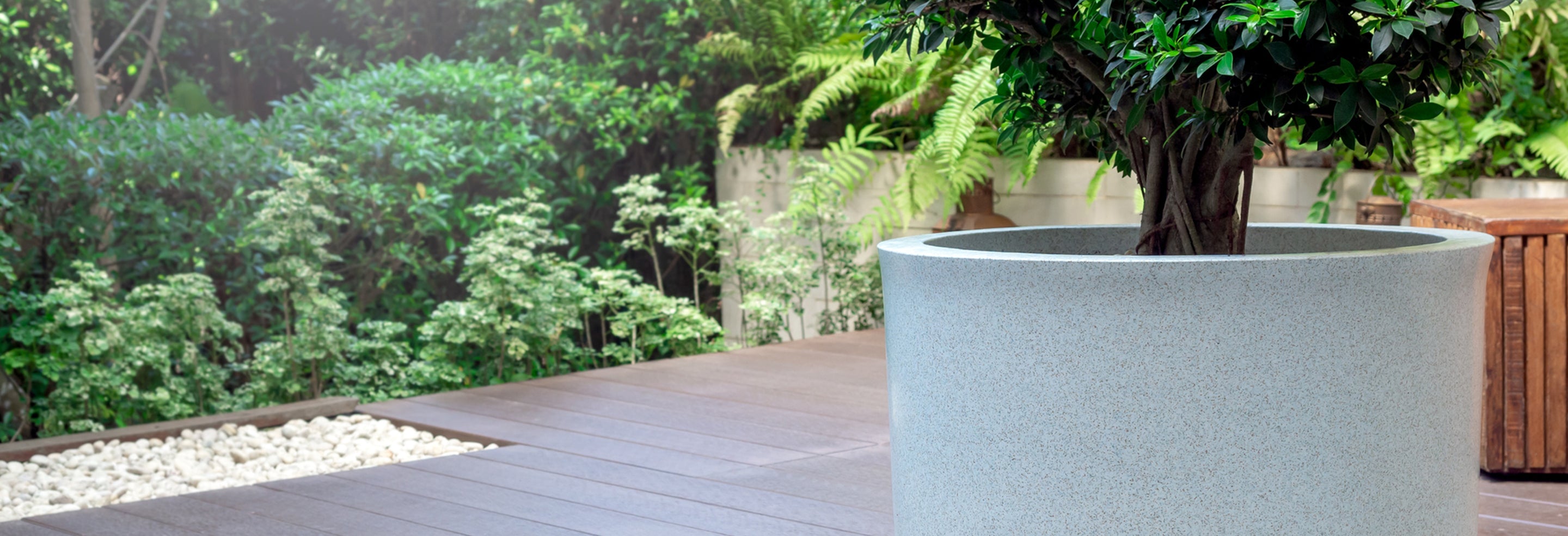 Round Stone Planter with Ornamental Tree