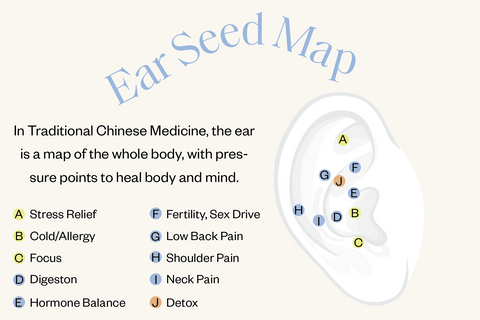 Ear Seed Map