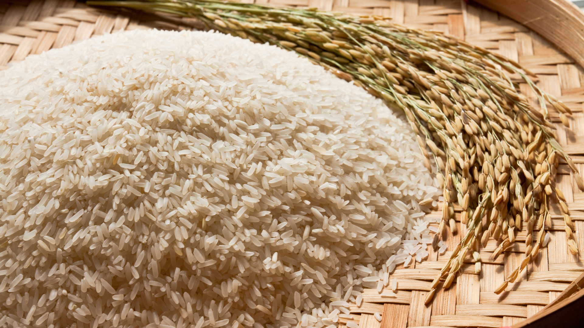 selecting right rice before storing rice for long term 