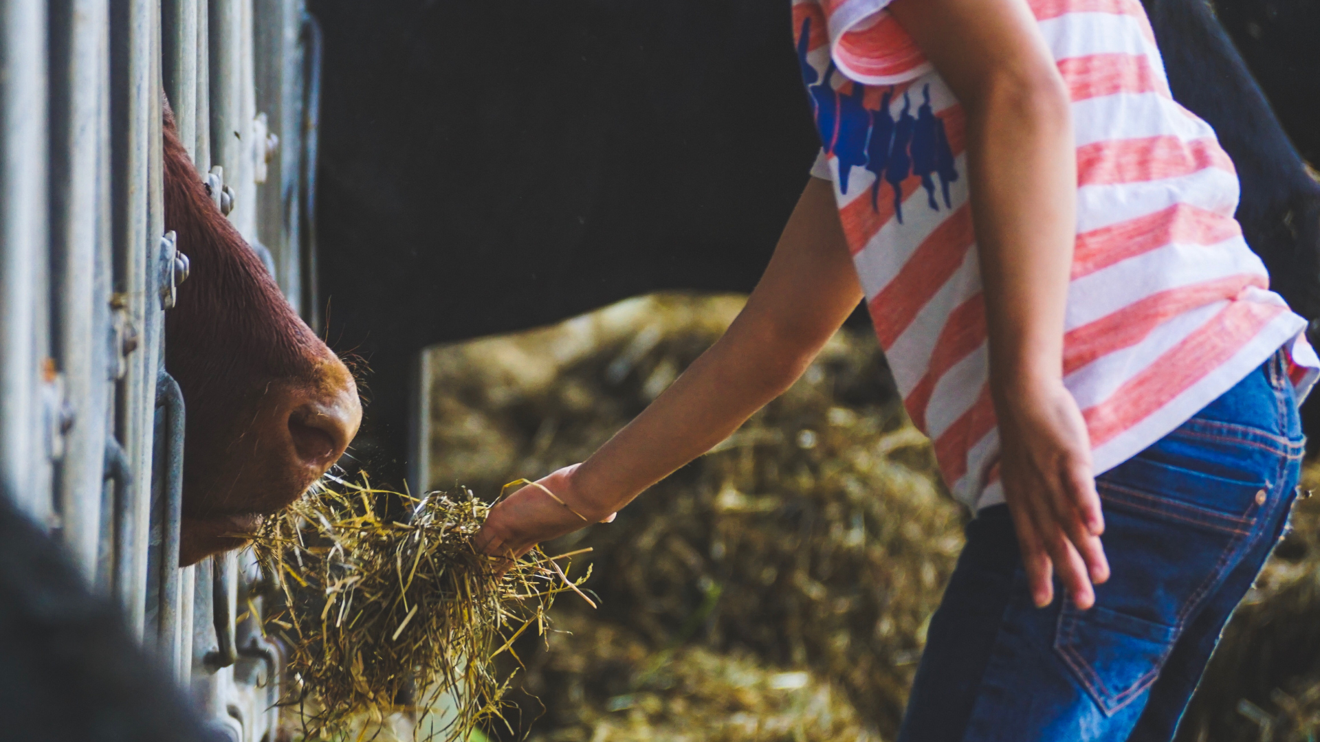 person feeding an animal as a prepping supplies