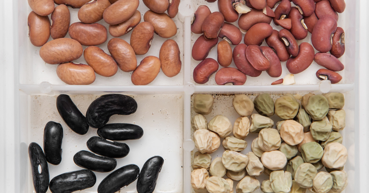 seed varieties with different shelf life in a seed storage