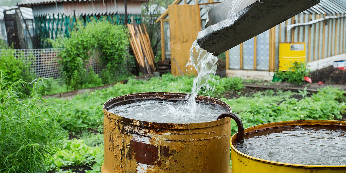 Rainwater Filling Water Storage