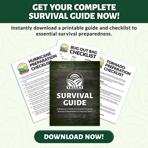 download Survival Guide book 