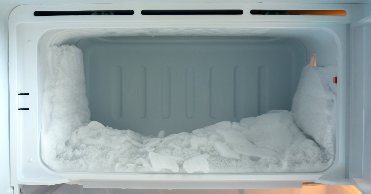 freeze drying food freezer